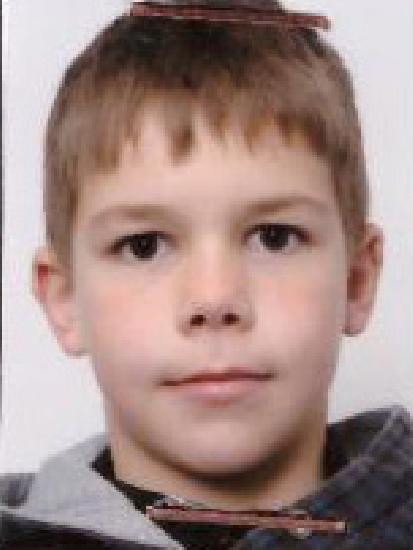 Sarca Ionuţ Valentin
