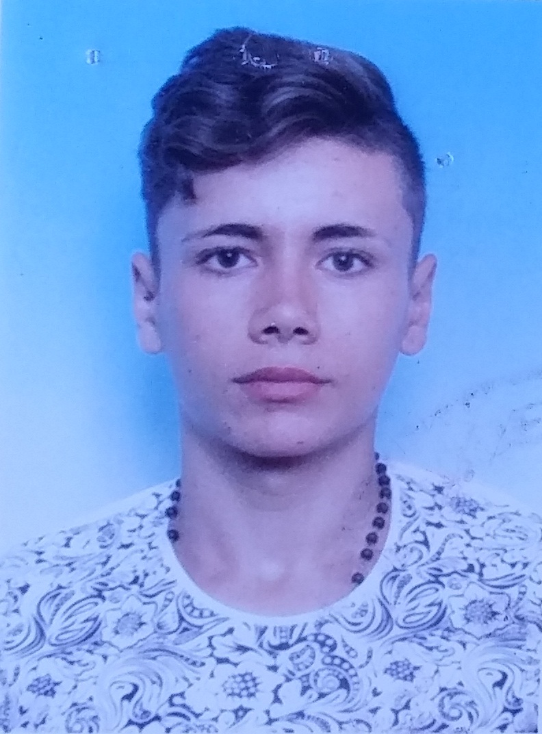 Moise Stefan Marius