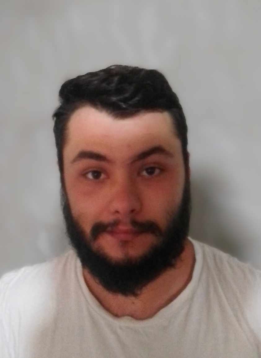 Vrabie Mihaita - Valentin