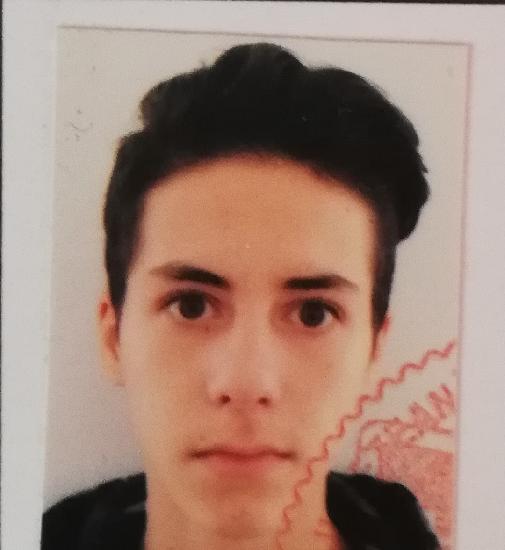 Pistol Rares - Stefan