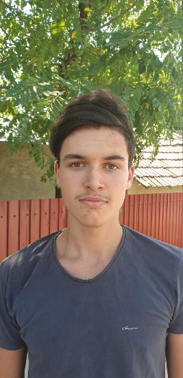 Porumb Andrei - Vladut