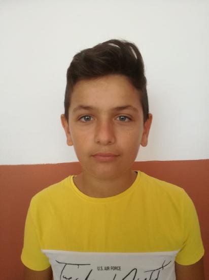 Dumitrache Alexandru - Stefanut