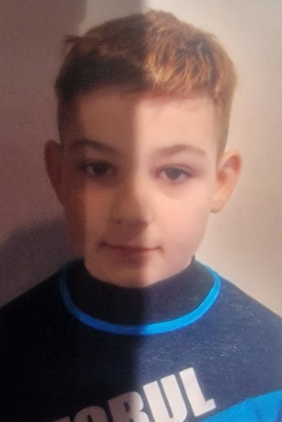 Niculescu David - Stefan