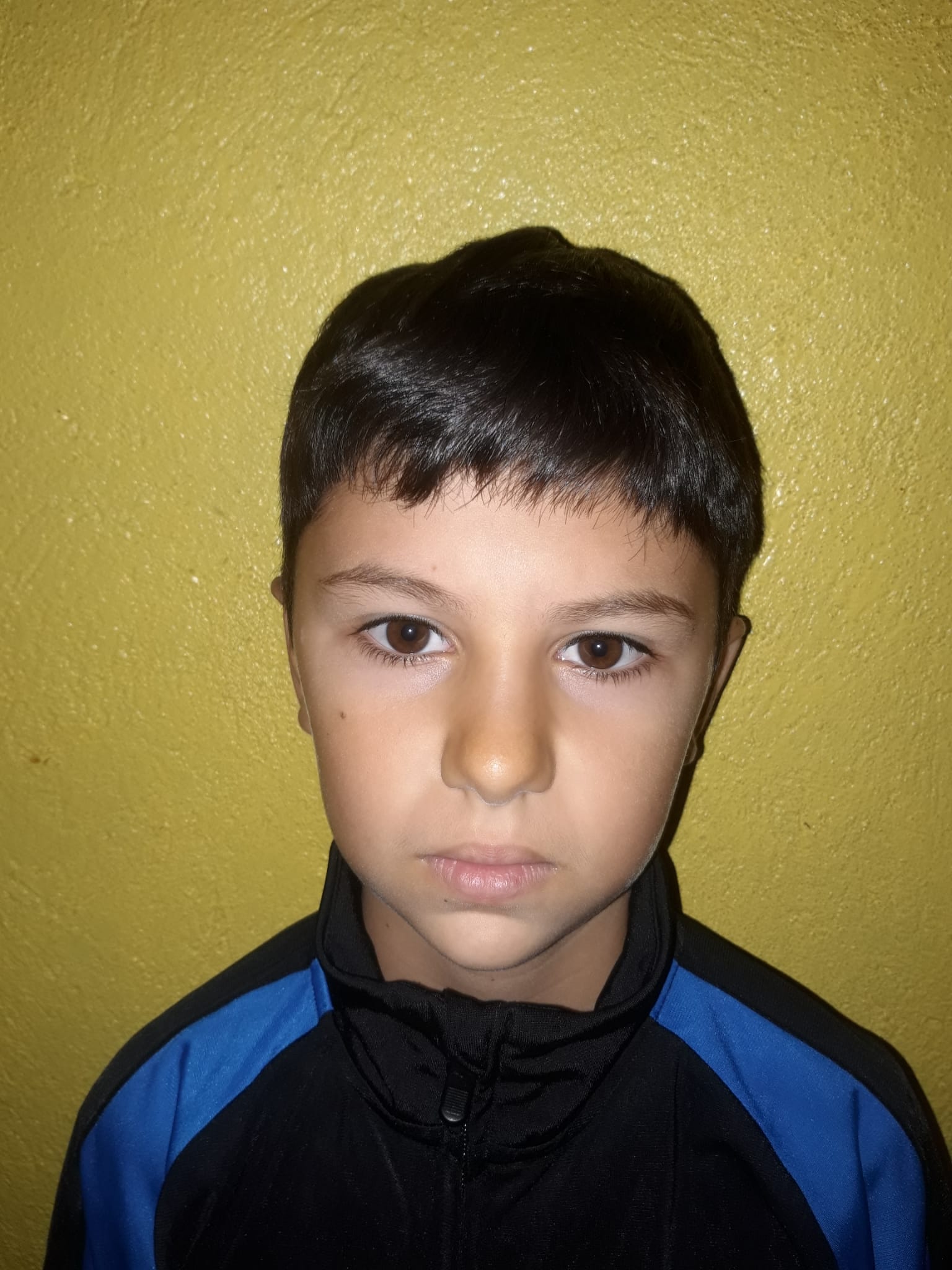 Ariciu Darius - Petru