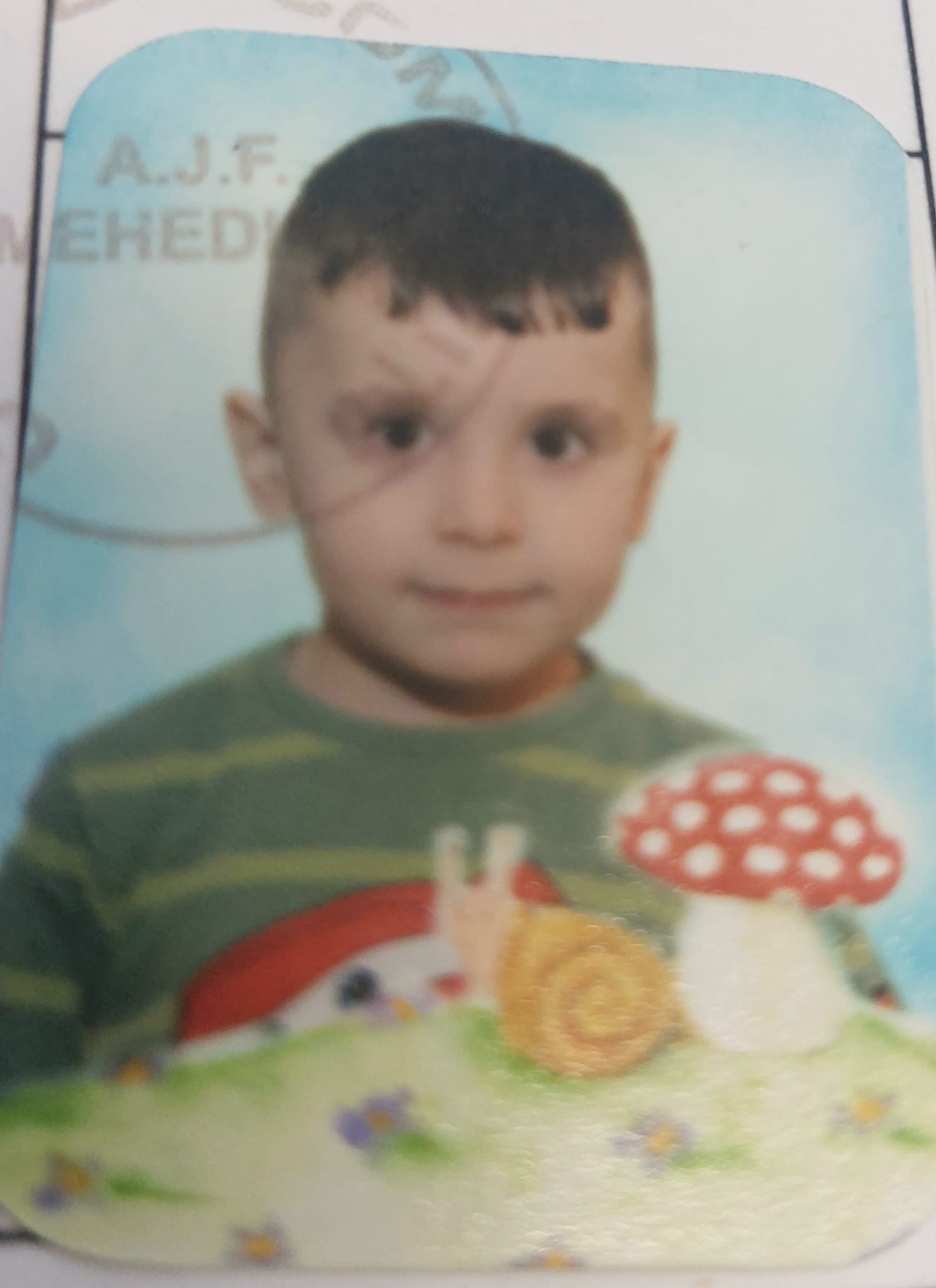 Vacaru Razvan Ionut