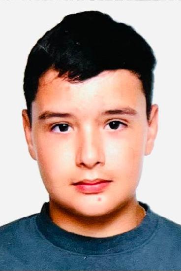 Baicu Denis - Mihai