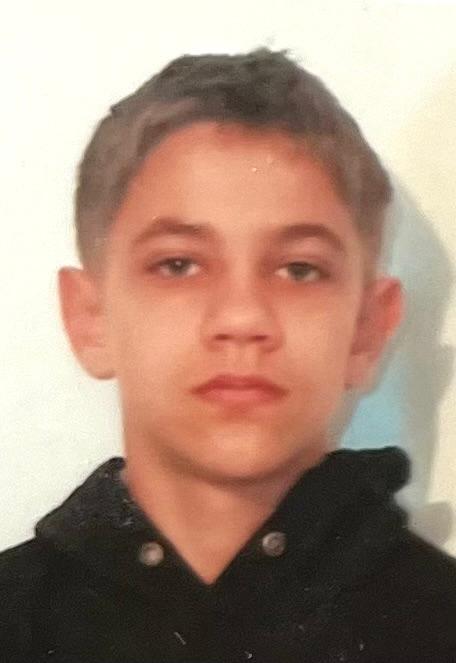Zavoianu George - Codrut