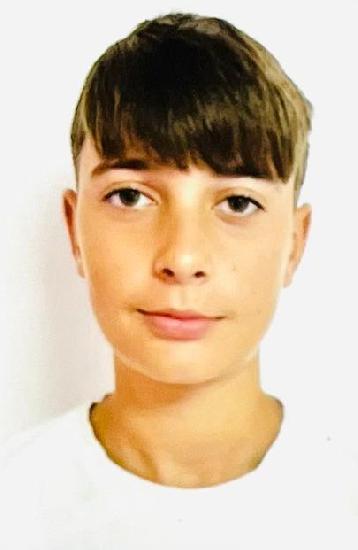 Sava Mario - David