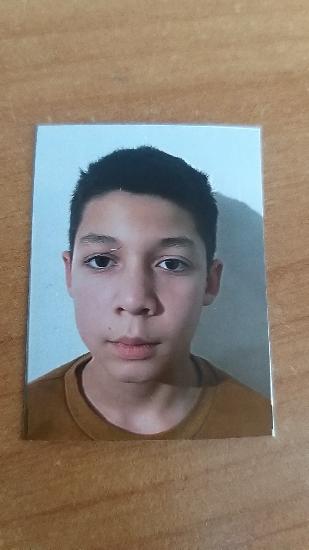 Musca Vlad Ionuț