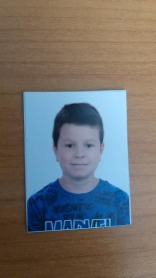 Cerci Andrei Vasile