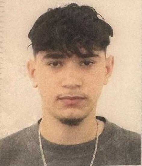 Lupascu Andrei - David
