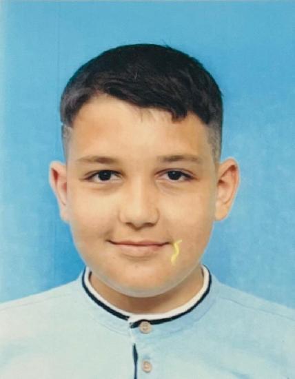 Mihalcea Radu - Stefan