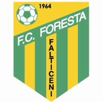 AS Foresta Falticeni 2016