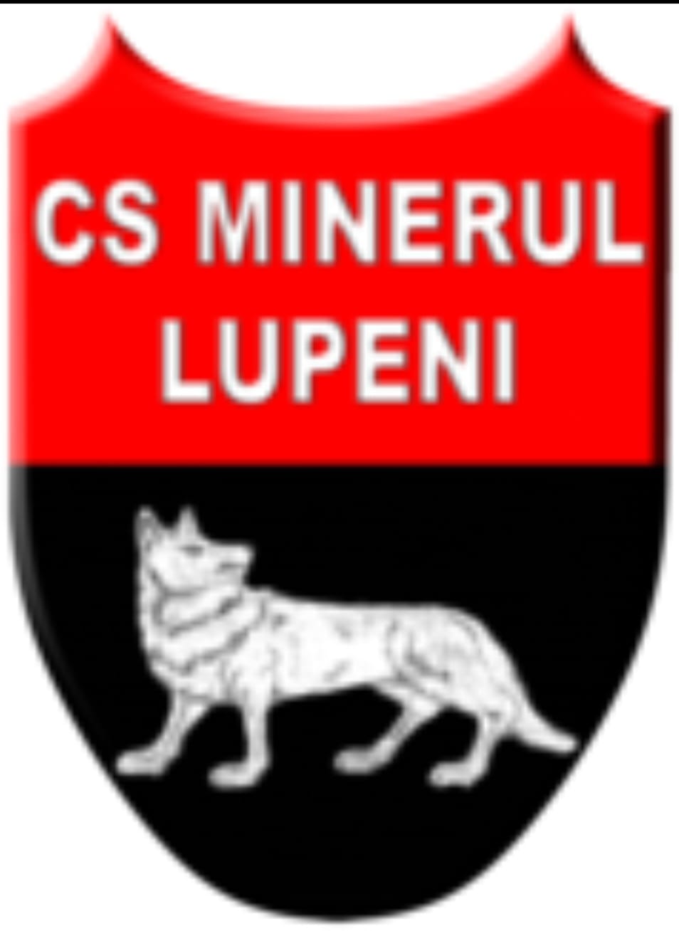 ACS MINERUL LUPENI