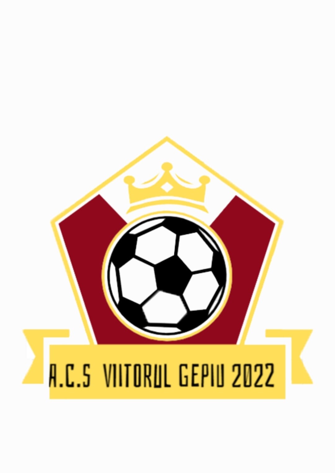 ACS Viitorul Gepiu