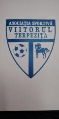 A.C.S. VIITORUL TERPEZITA