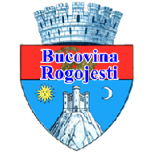 ACS Bucovina Rogojesti