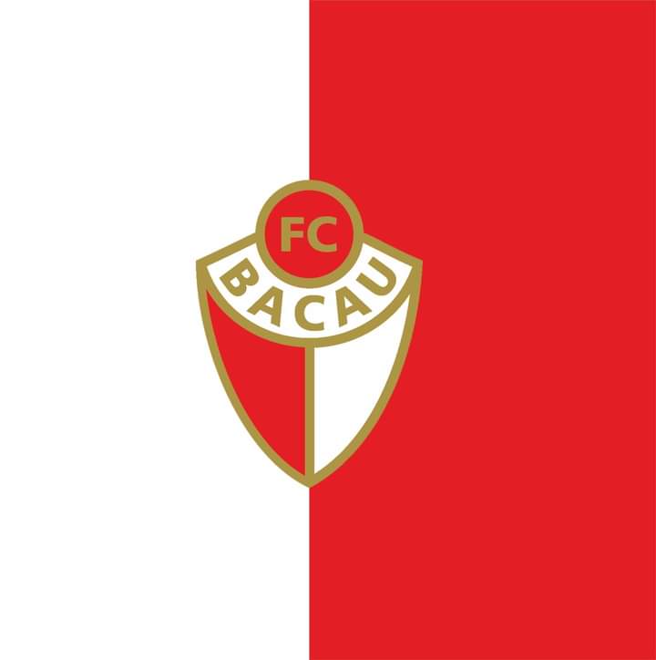 ACS FC Bacau 3