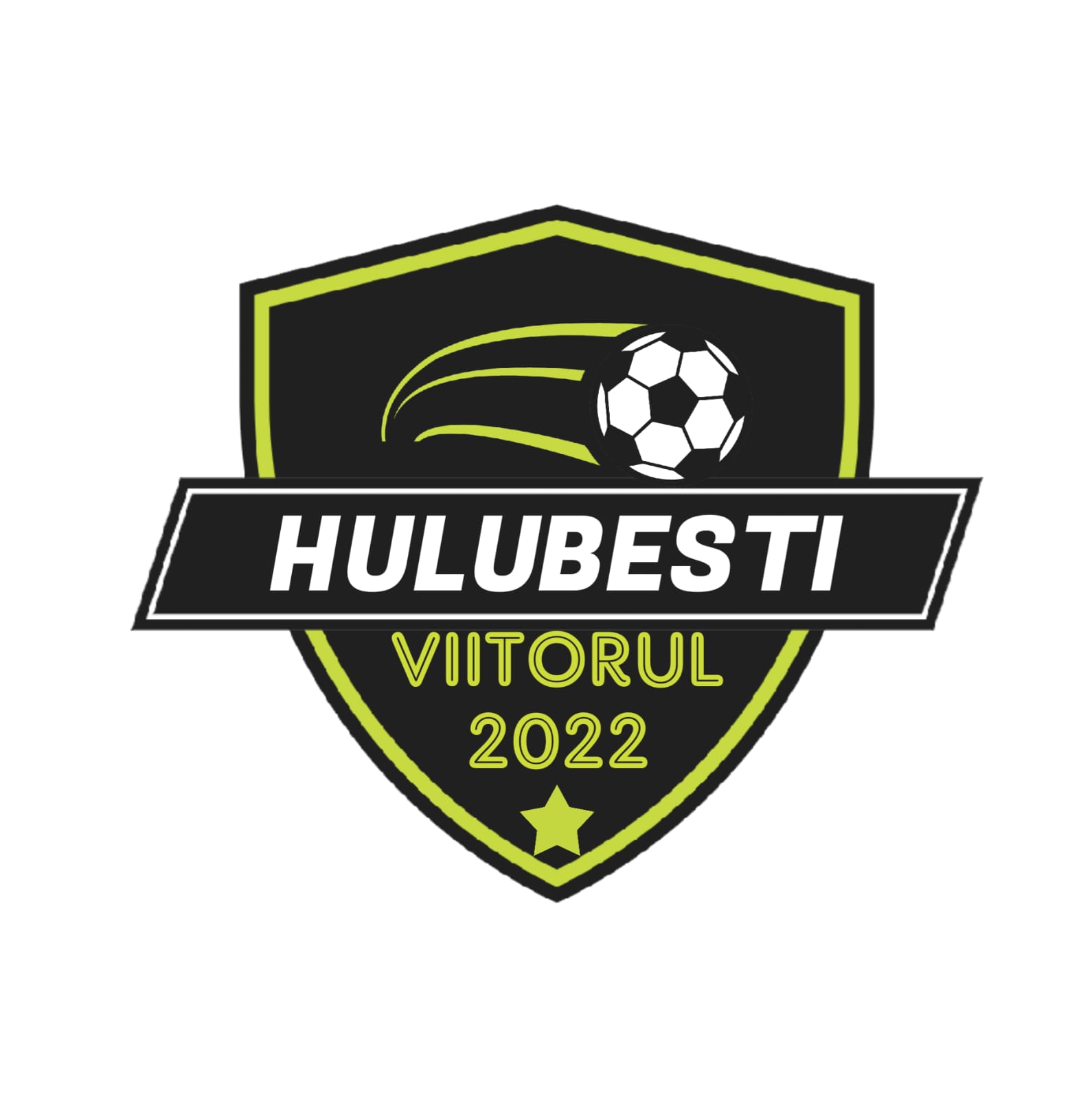 ACS VIITORUL HULUBESTI