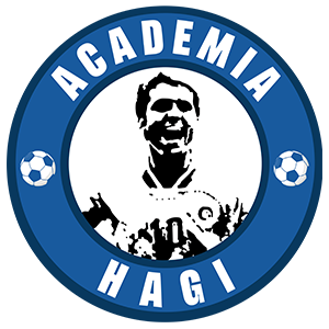 Academia Hagi 2