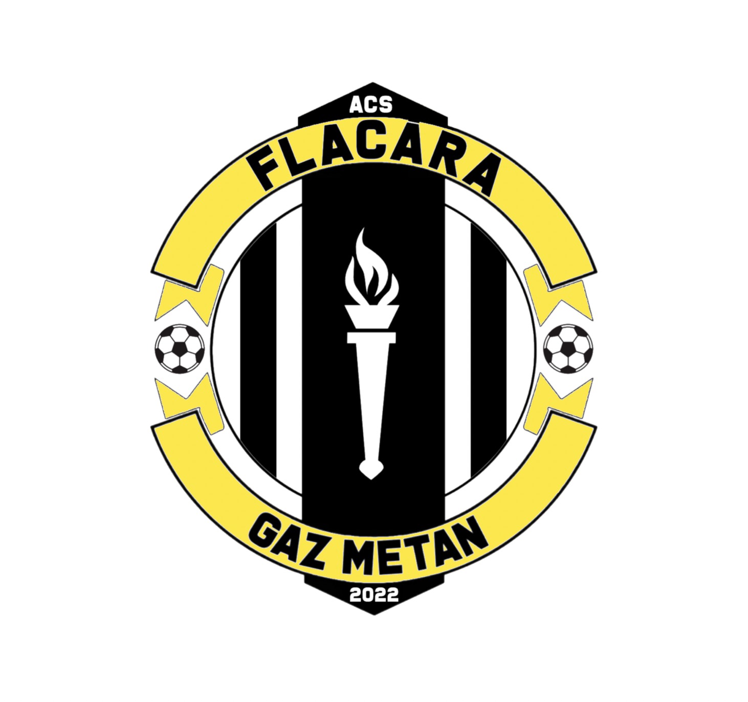 ACS Flacăra Gaz Metan FUTSAL