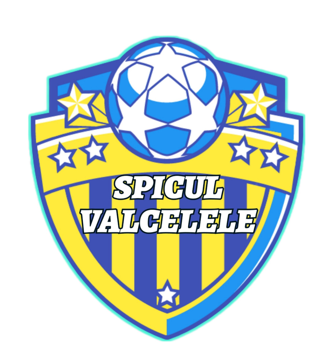 A.C.S. Spicul Vîlcelele