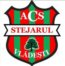 A.C.S. STEJARUL Vlădești