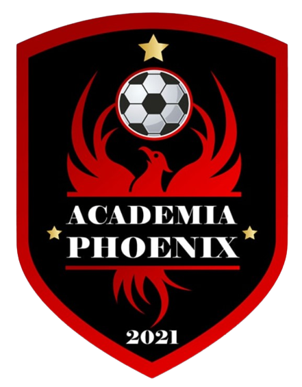 Academia Phoenix Pașcani