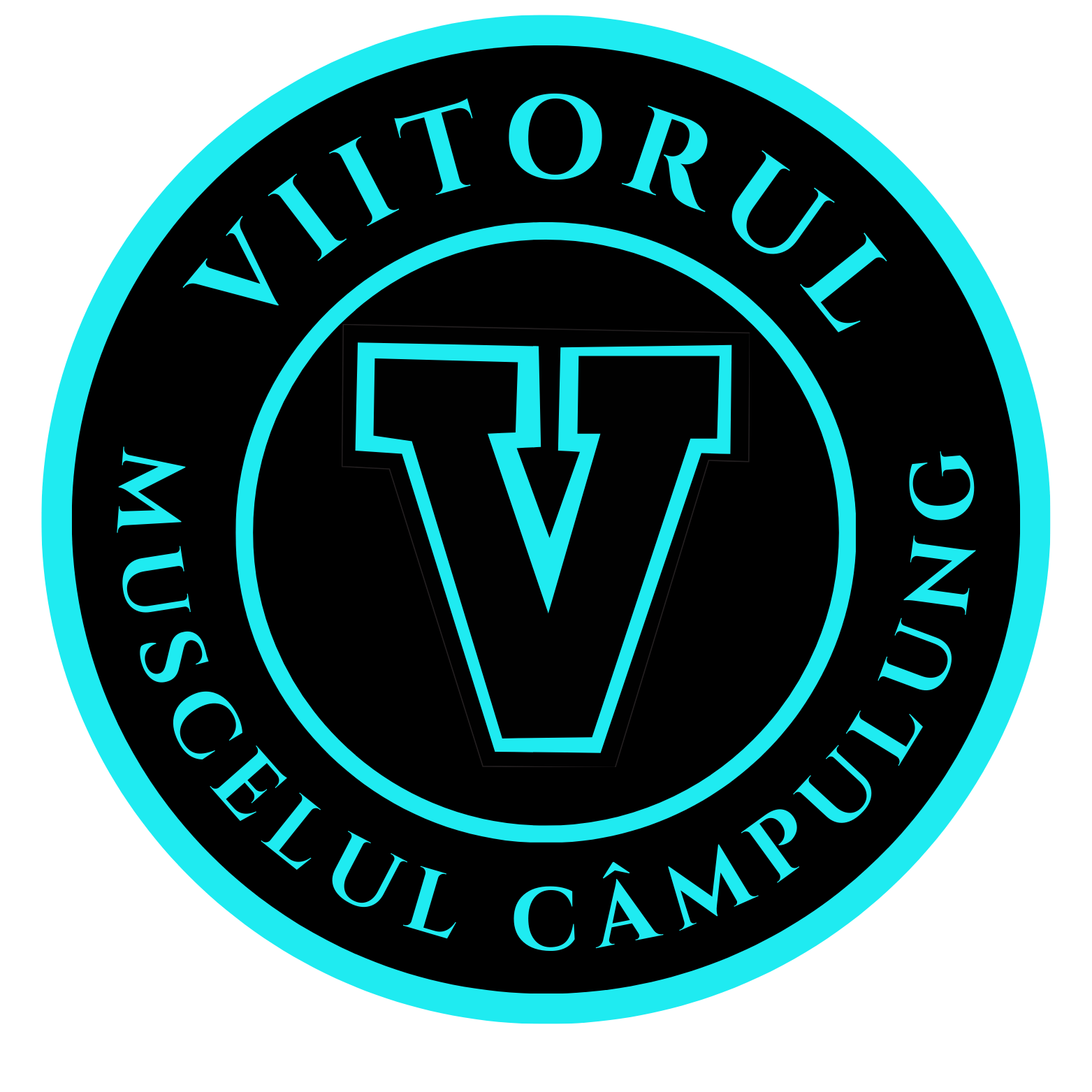 A C S Viitorul Muscelul Campulung