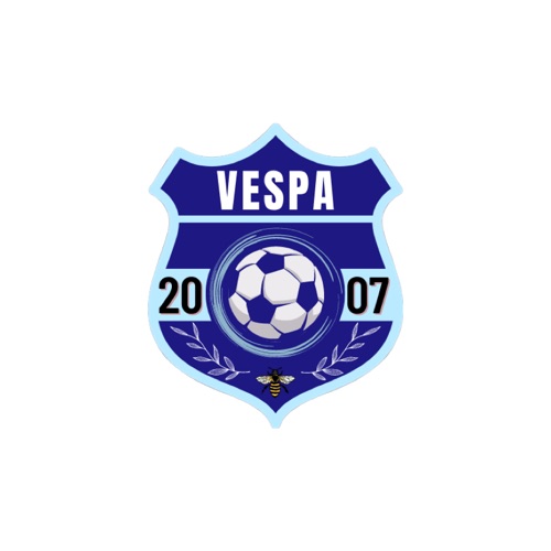 AS VESPA 2007 Cechești