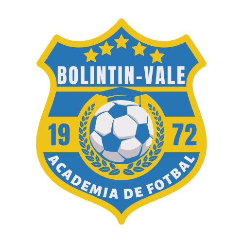 CS ACADEMIA DE FOTBAL BOLINTIN-VALE 2