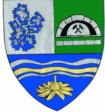 A.S. Viitorul Eftimie Murgu