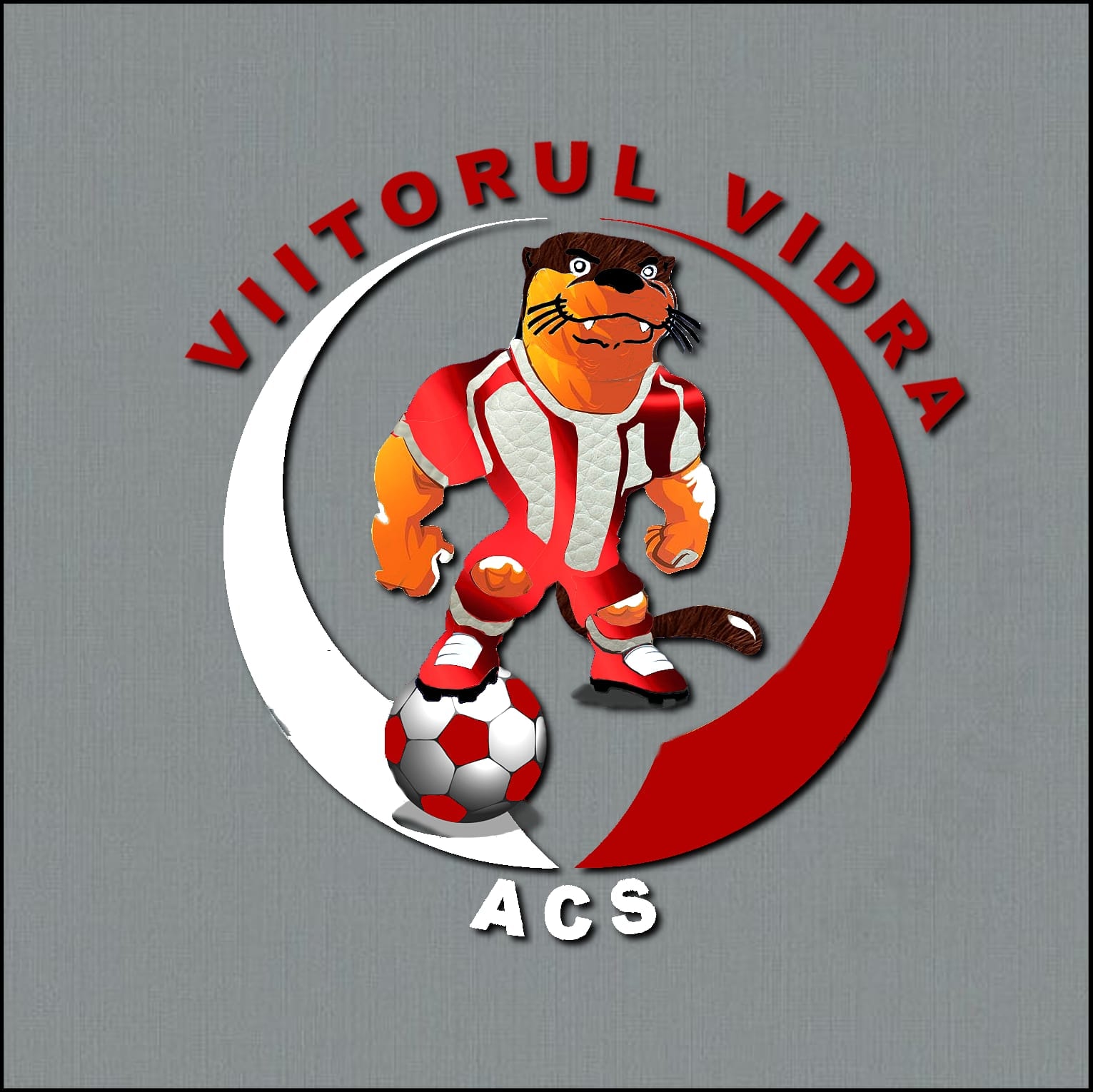 ACS VIITORUL VIDRA