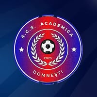 ACS ACADEMICA DOMNESTI