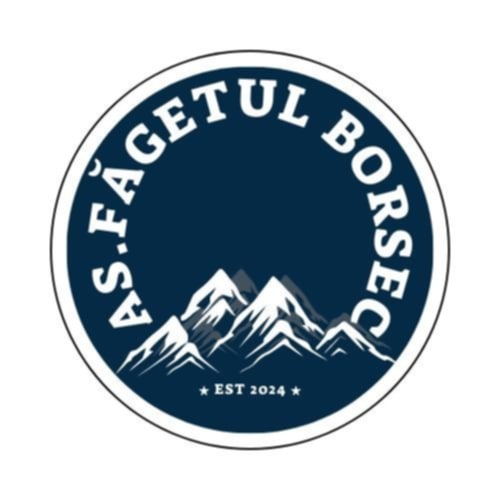 ACS Făgetul Borsec