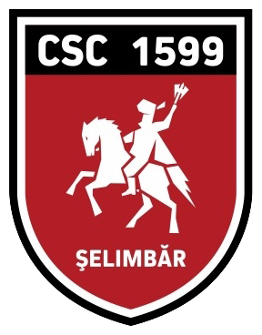 Club Sportiv Comunal 1599 Selimbar 2