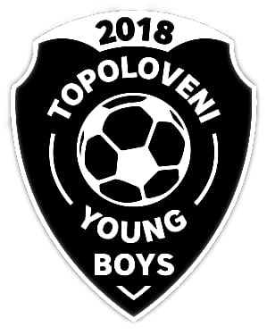 A C S Young Boys Topoloveni 3 Interliga