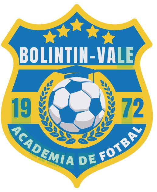 CS ACADEMIA BOLINTIN VALE