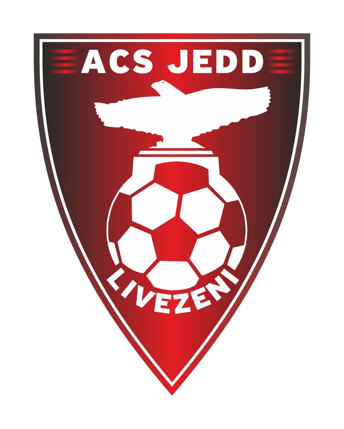 A.C.S. JEDD LIVEZENI