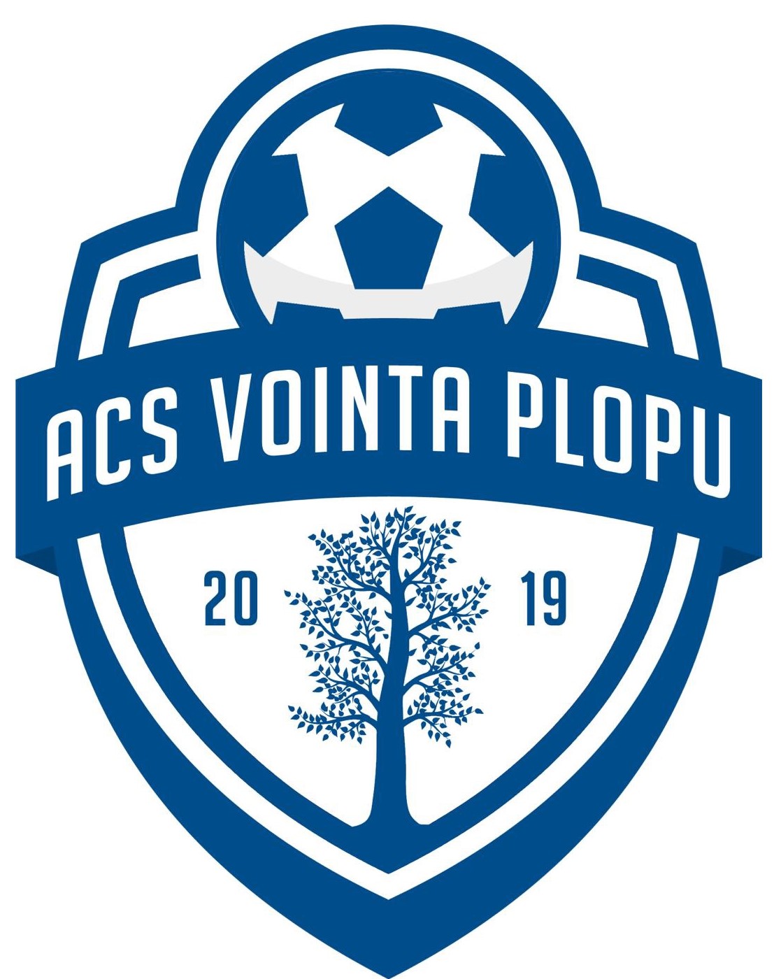 ACS Vointa Plopu