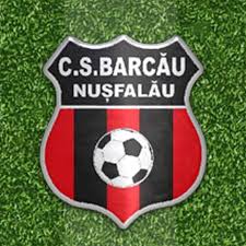 CS Barcau Nusfalau