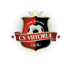 Viitorul Zalau