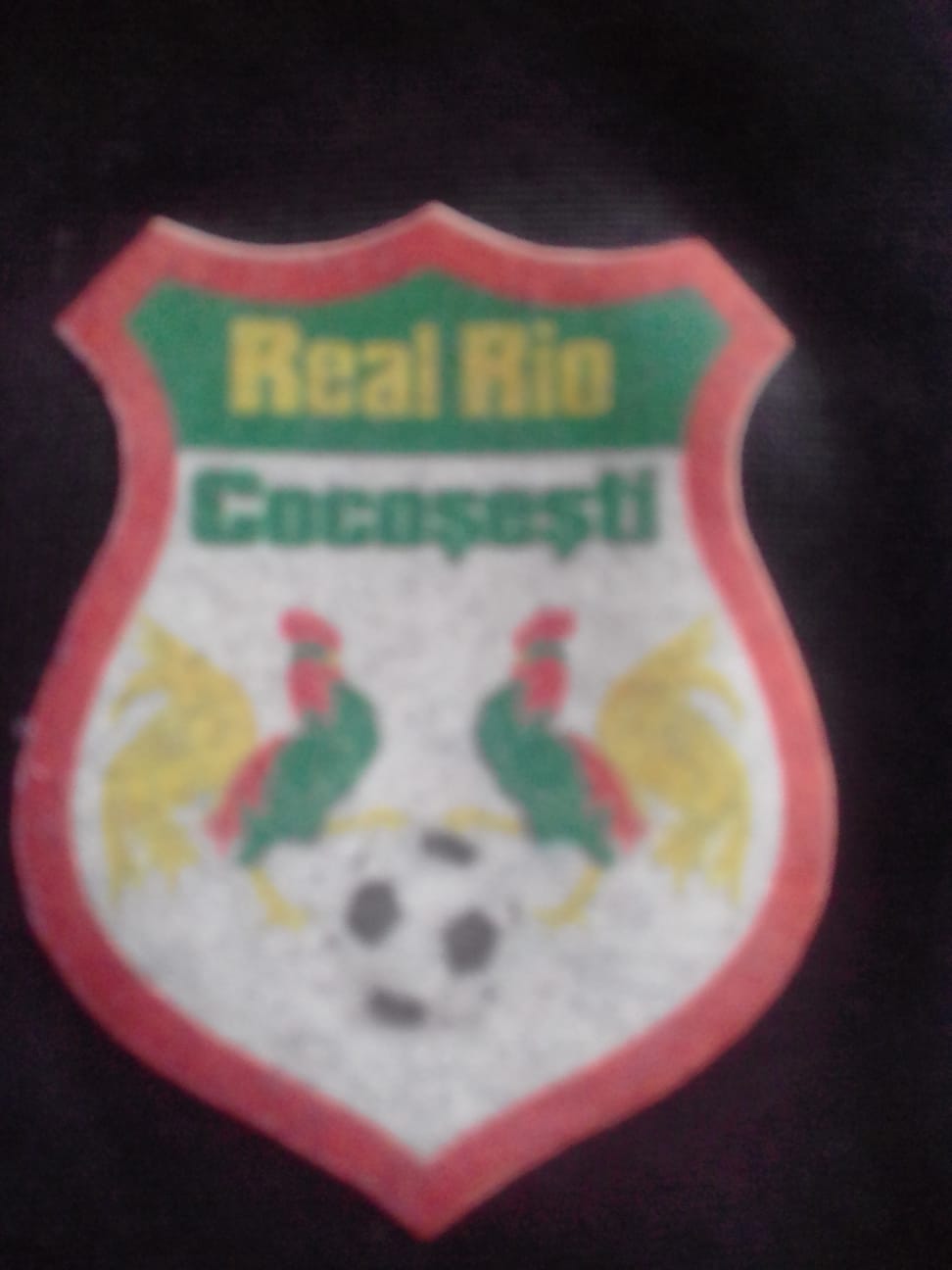 Real Rio Cocoşeşti