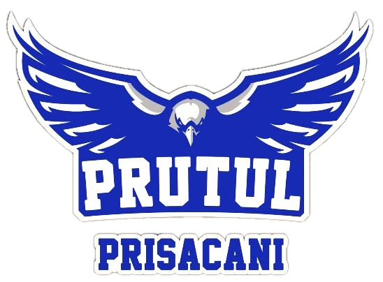 Prutul Prisăcani