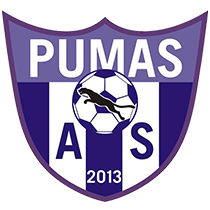 ACS Pumas Iași