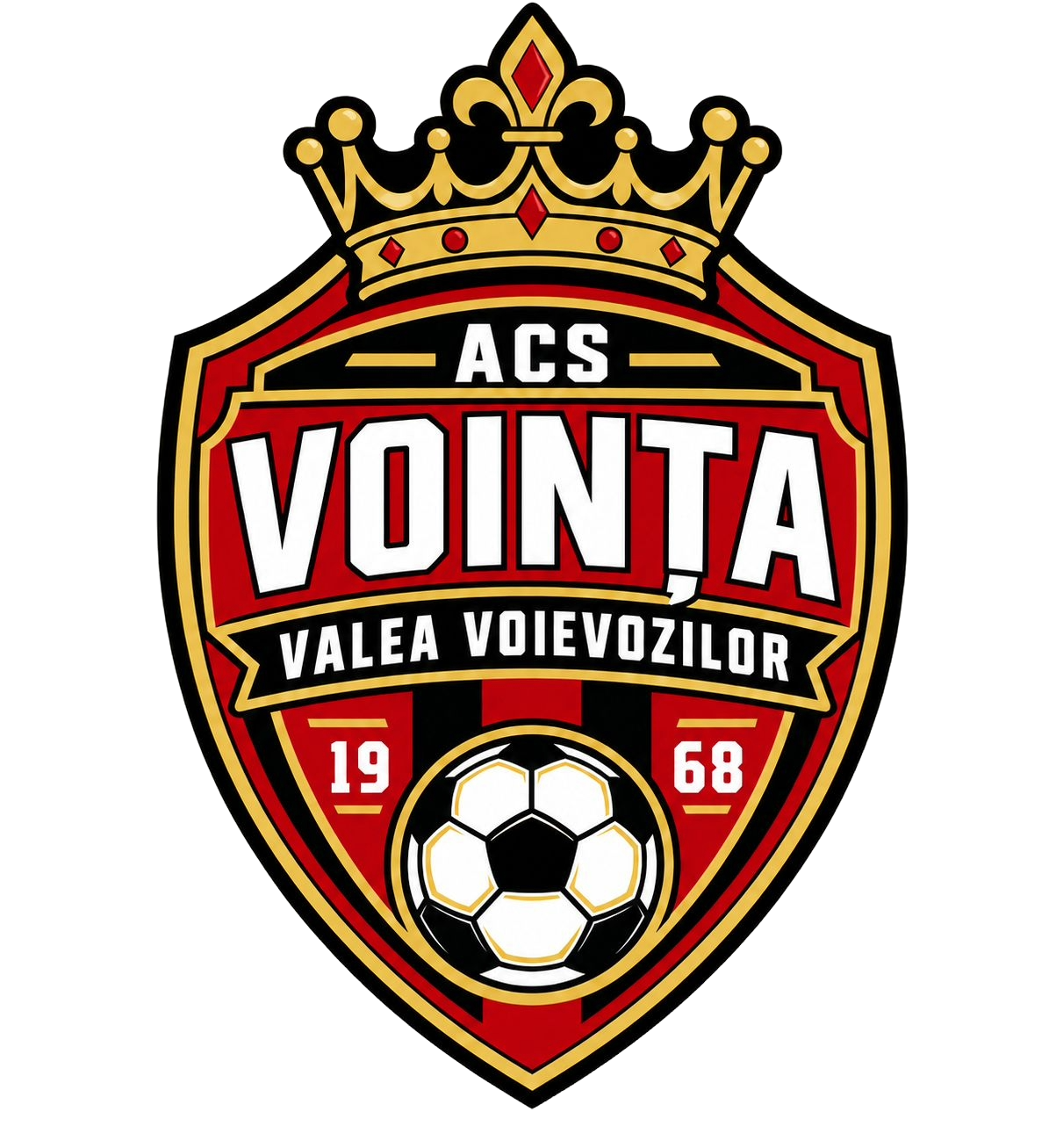 ACS Vointa Valea Voievozilor