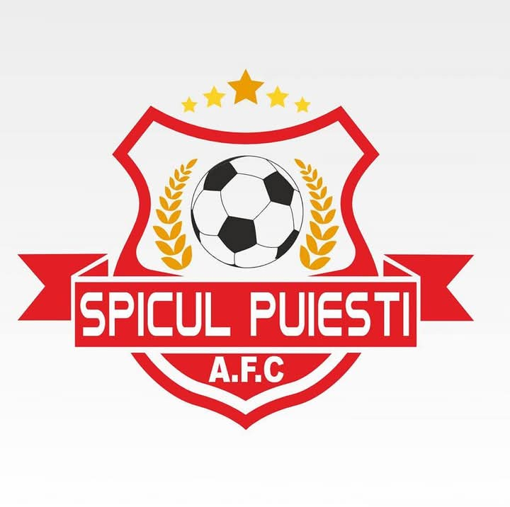 AFC Puiesti