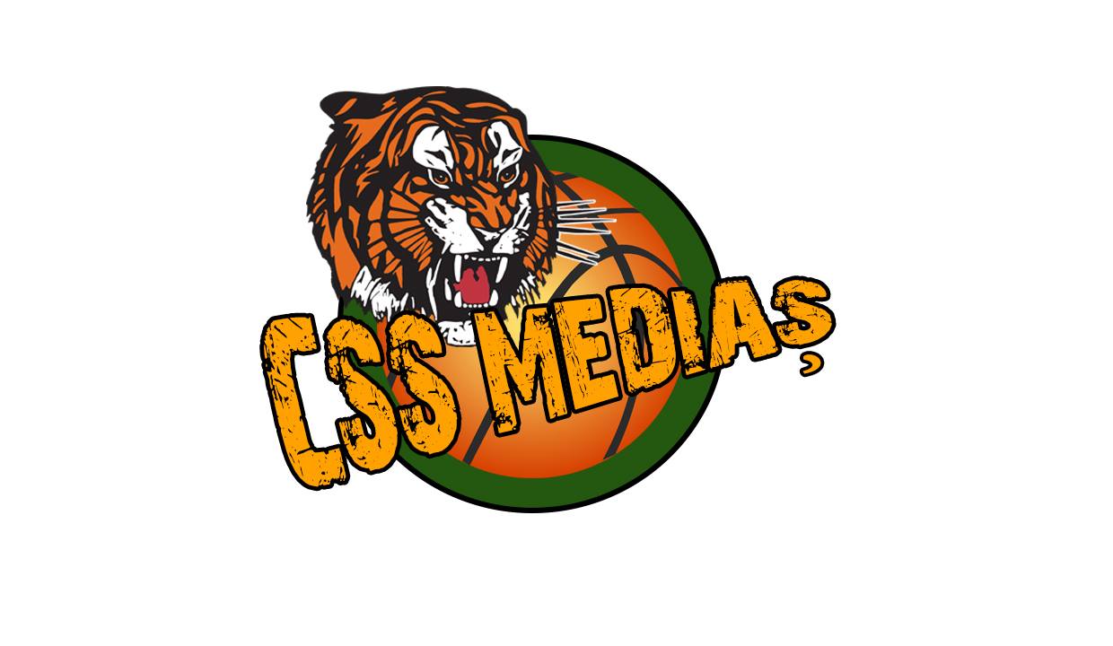 CSS Medias