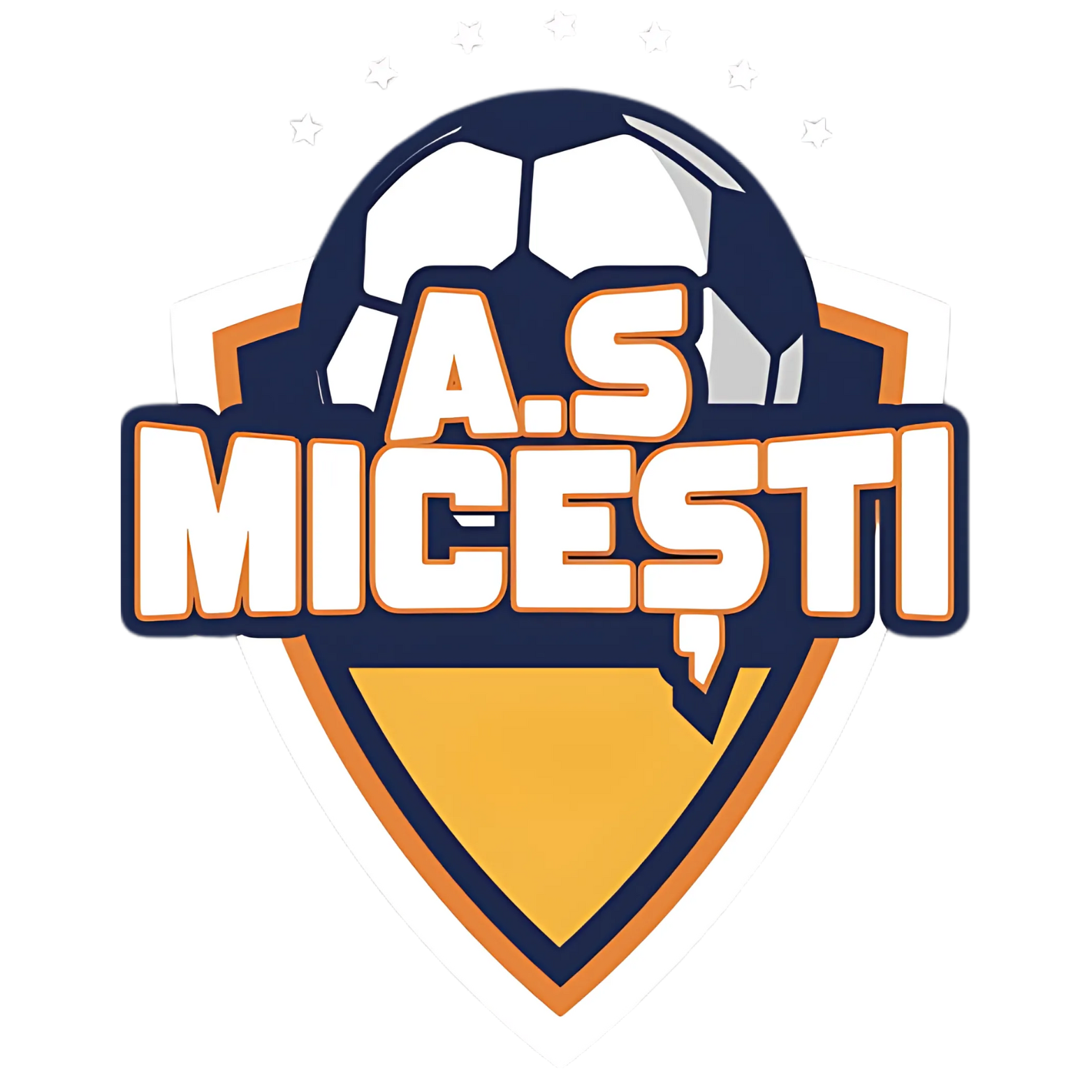 A S Micesti 2002