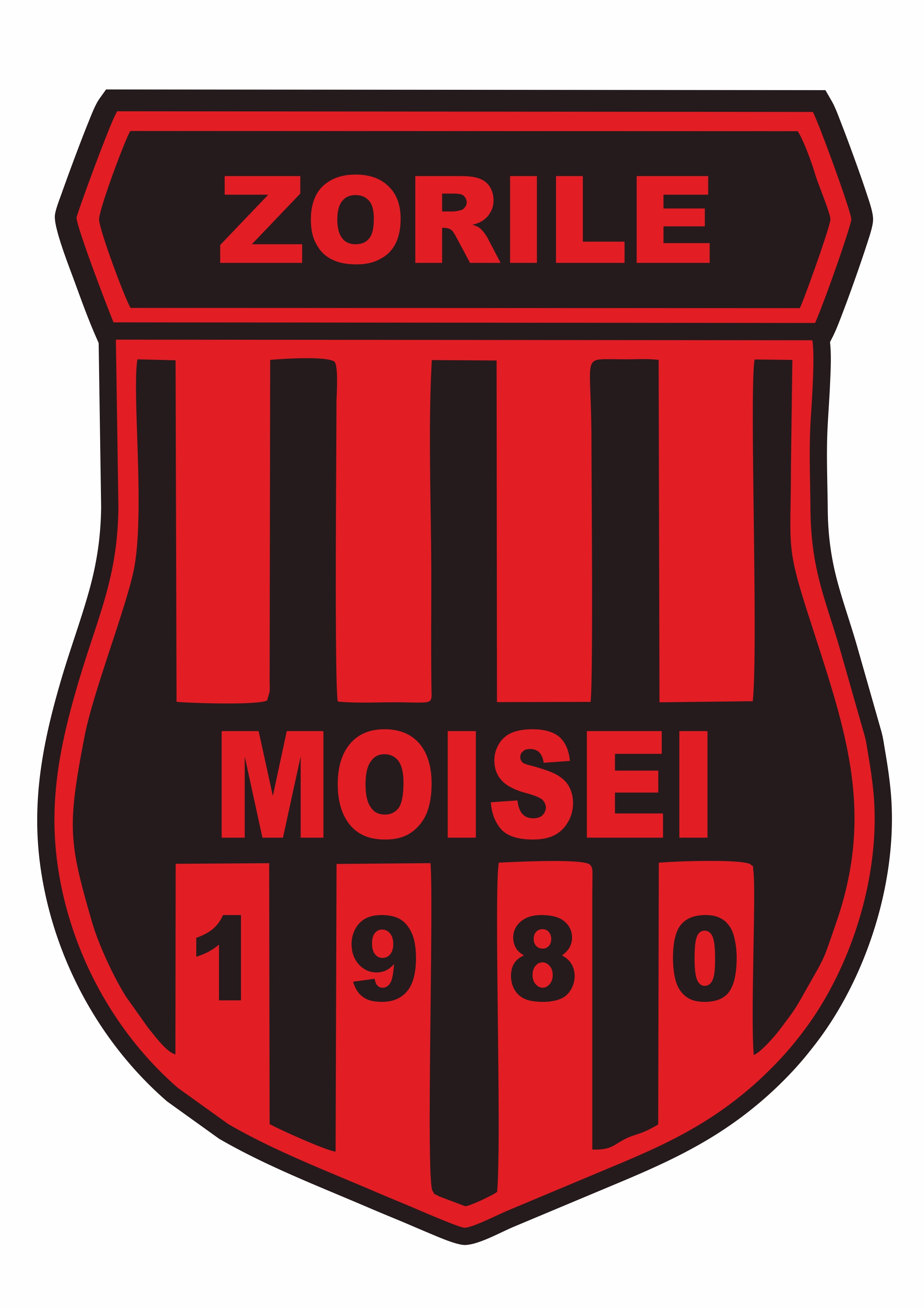 CS Zorile Moisei